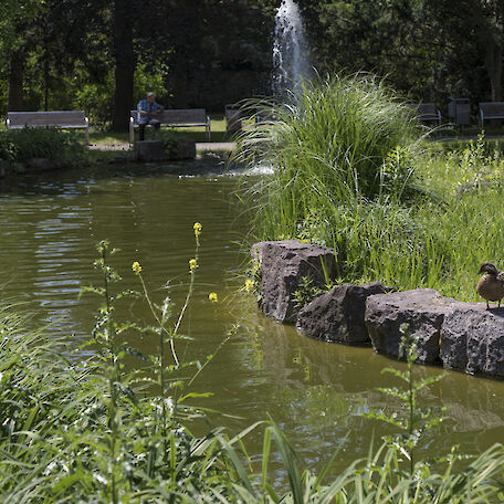 Teich im Verna-Park