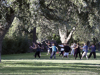 Foto: Eine Gruppe Menschen auf einer Wiese im Park beim Qi-Gong