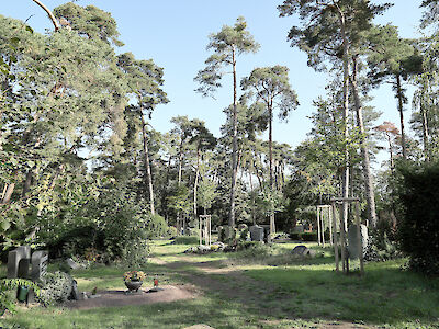 Das Foto zeigt Bäume auf dem Waldfriedhof in Rüsselsheim