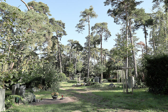 Das Foto zeigt Bäume auf dem Waldfriedhof in Rüsselsheim