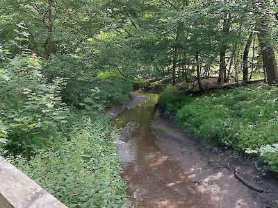 Der Apfelbach, ein Zufluss des Hegbachs.