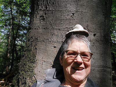 Der Wald hatte für Wilma eine neue Kopfbedeckung parat.