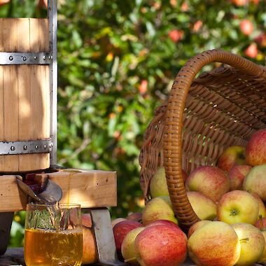 Apfelpresse und Äpfel in einem Korb
